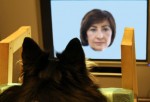 Dog in facial recognition test