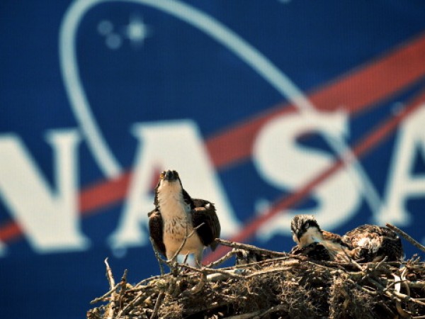 NASA Prepares For Final Launch Of Space Shuttle Endeavour