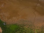 Sao Paulo Region Suffers From Extreme Drought