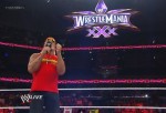 Hulk Hogan Returns to Smackdown