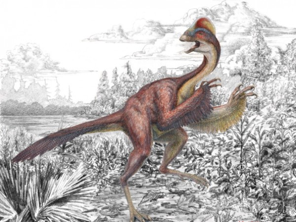 Scientists Discover New Species Of Dinosaur
